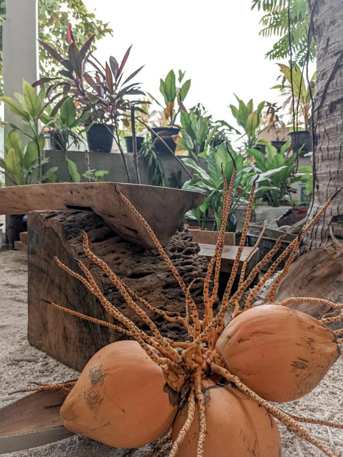Dhoadhi Retreat Hotel Thulusdhoo Ngoại thất bức ảnh