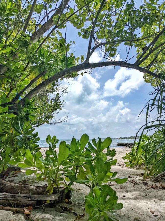 Dhoadhi Retreat Hotel Thulusdhoo Ngoại thất bức ảnh