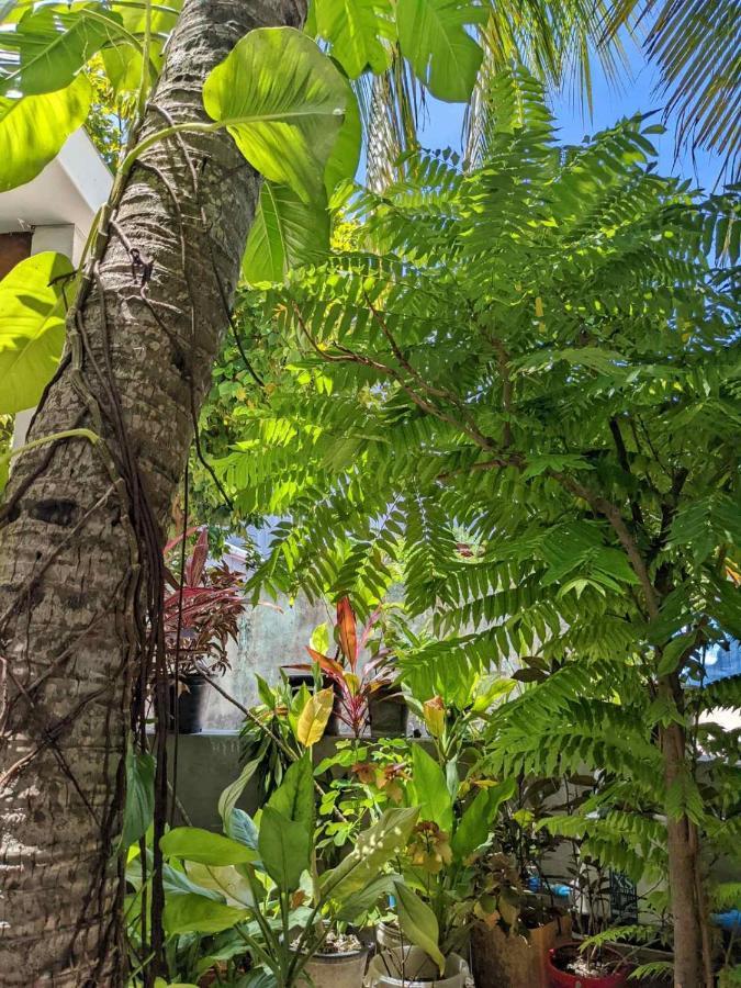 Dhoadhi Retreat Hotel Thulusdhoo Ngoại thất bức ảnh